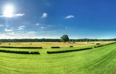 Meeting Guide Berlin Rennbahn Hoppegarten Grüne Wiese der Rennbahn im Sommer