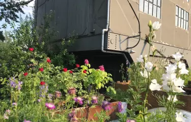 Blumenterrasse mit Aussicht